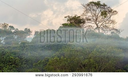 Beautiful Landscape Jungle View And Morning Fog In Bukit Kalam Village,labuan,malaysia.nature Backgr
