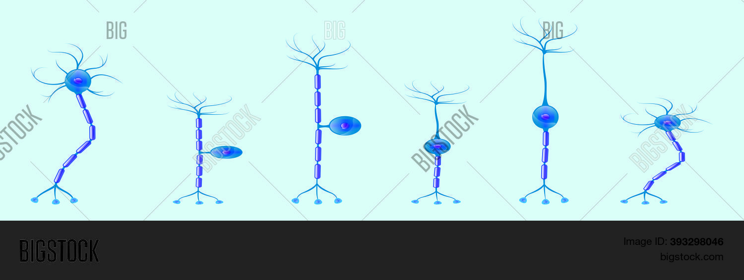 Vector Scientific Vector & Photo (Free Trial) | Bigstock