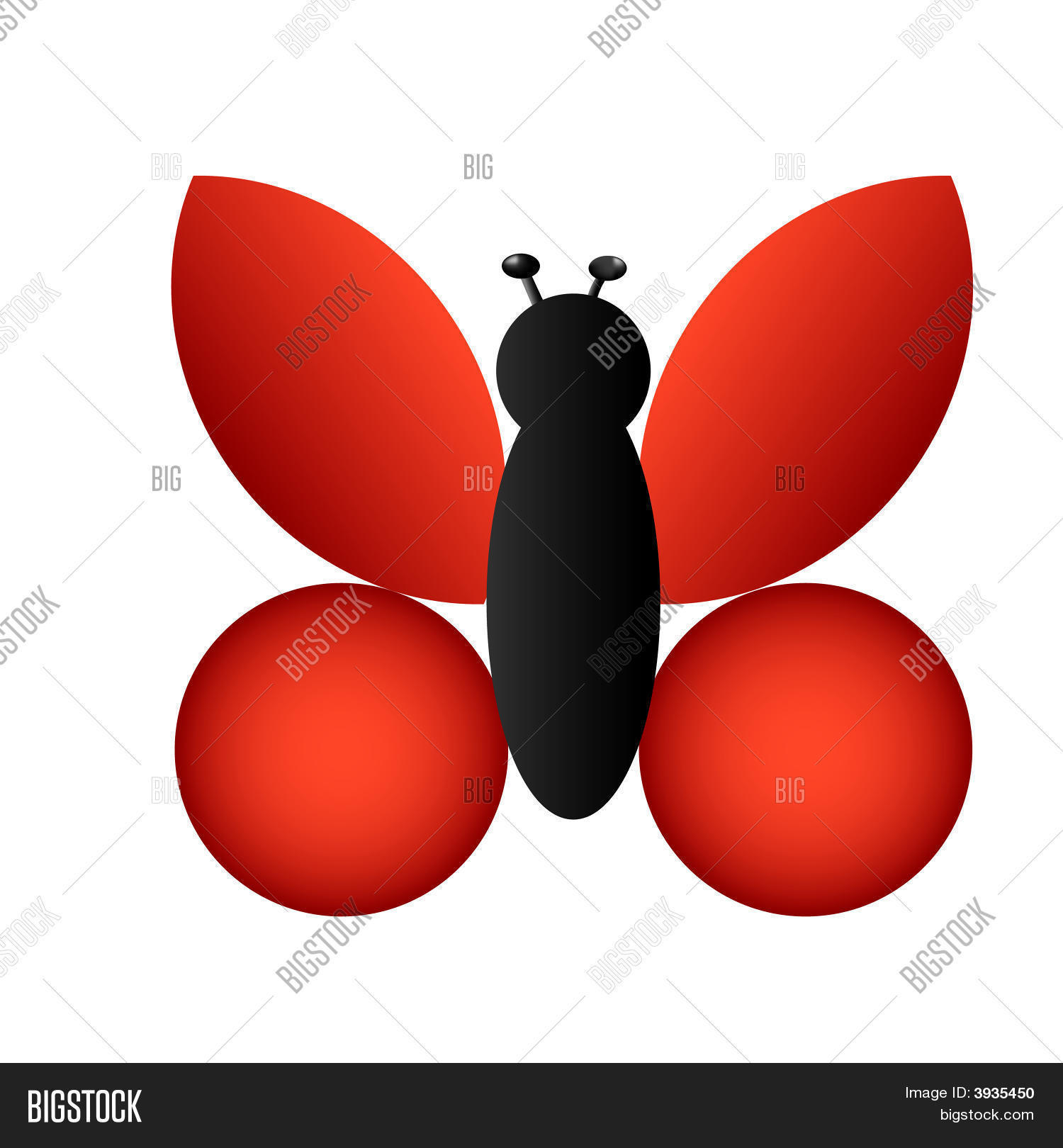 Image Preview
