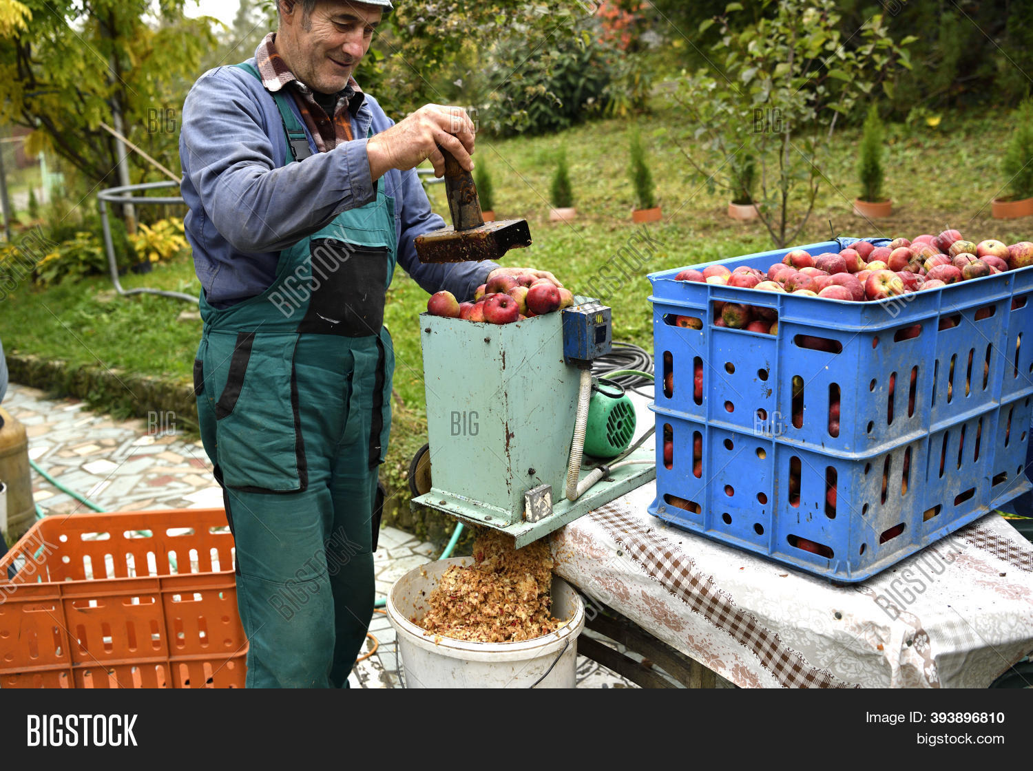 Fruit Farmer Crushing Image & Photo (Free Trial) Bigstock