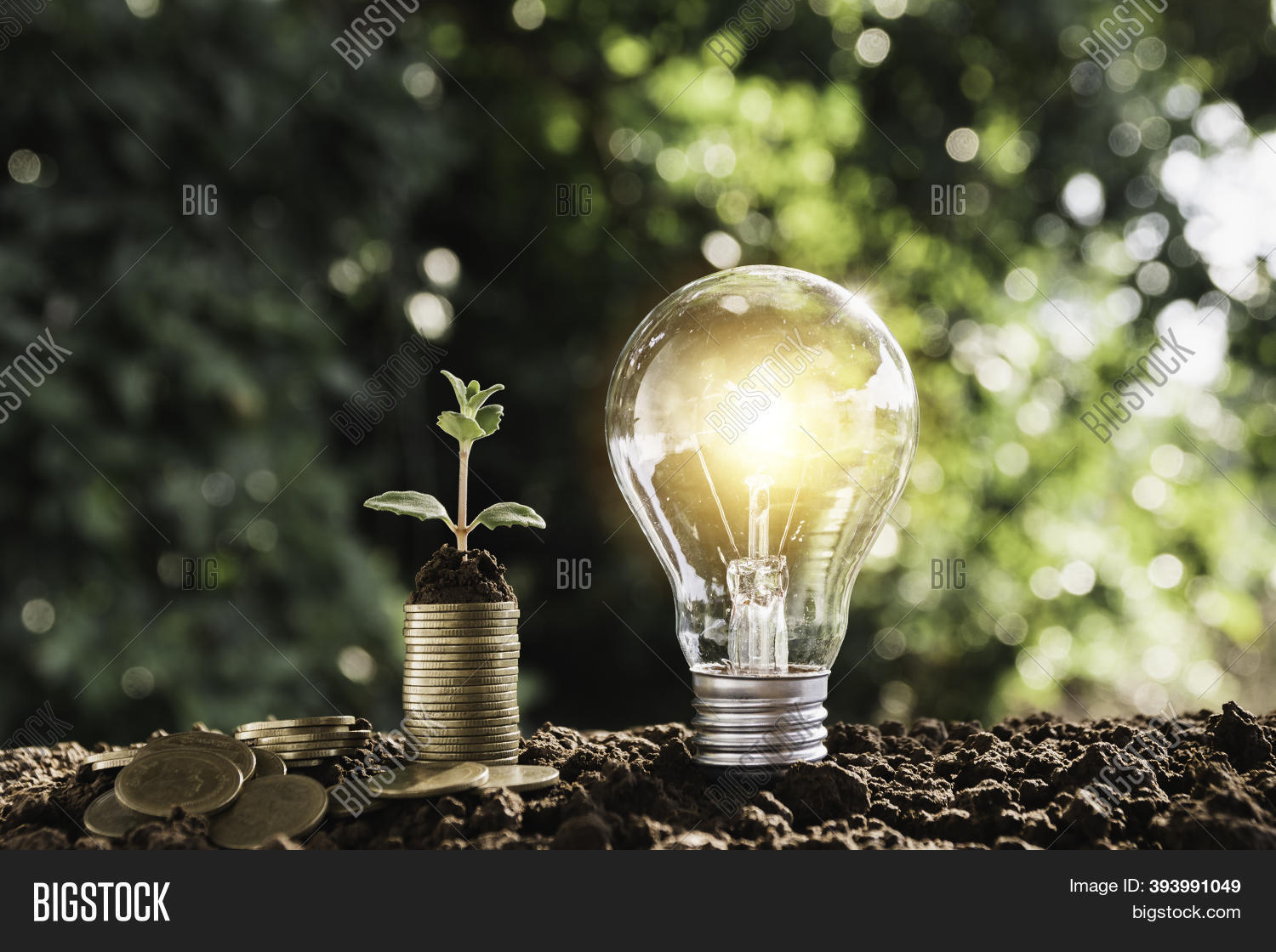 Light Bulb Coin Piles Image & Photo (Free Trial) Bigstock