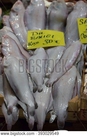 Solea Solea In The Fish Market Of Istanbul