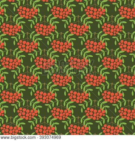 Mountain Ash. Seamless Pattern. Vector Berries. Organic Healthy Food. Fashion Print. Design Elements