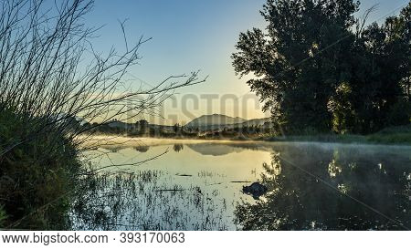 Beniarres Swamp At Sunrise Are Reflections And Some Fog.