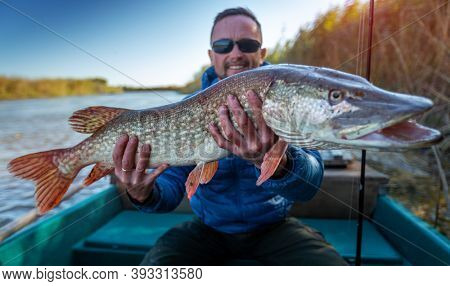 Angler with pike fish. Amateur fisherman holds trophy pike (Esox lucius) and sits in the boat with river on the background
