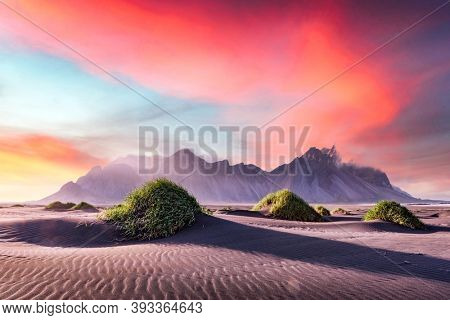 Gorgeous landscape with black sand desert dunes and grassy bumps near famous Stokksnes mountains on Vestrahorn cape, Iceland
