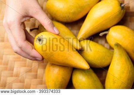 Eggfruit Or Canistel Holding By Hand, Thai Fruit, In Thai Names Such As Xiantao, Lamut Khamen Or Mon