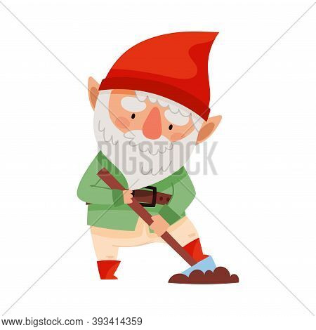 White Bearded Gnome Character With Red Pointed Hat Digging The Earth With Shovel Vector Illustration
