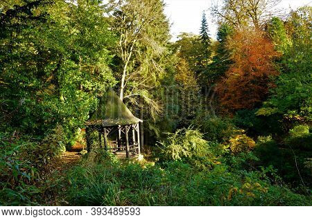 Autumn Colours Among The Trees, Plants And Pagoda Of Pittencrieff Park In Dunfermline, Scotland.