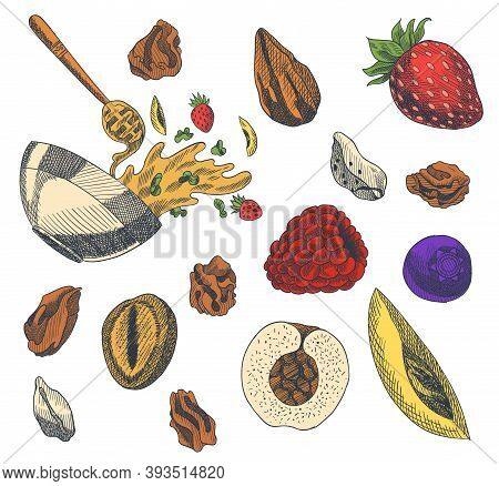 Granola Engraved Style Illustration. Various Berries, Fruits And Nuts. Homemade Delicious Set. Ingre