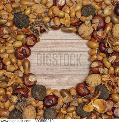 Autumn Frame With Brown Hazelnuts, Walnuts, Acorns, Chestnuts And Beechnuts On A Wooden Background W