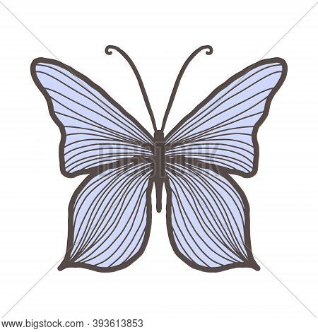 Vector Butterfly With Many Lines On Blue Wings. Social Media Decoration, Design Element, Symbol Of F