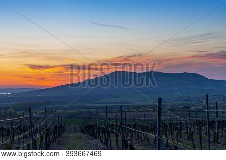 Sunrise in Palava with Devicky ruins, Southern Moravia, Czech Republic