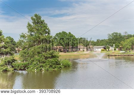 Neighborhood Park With Water Fountain And Great Egret Heron On Baldcypress Tree In Texas, Usa