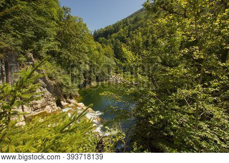 Forest At The Gorge De L'areuse Valley