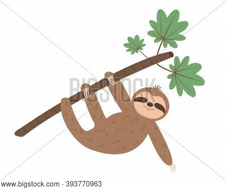 Funny Sloth Hanging On Tree Branch. Cartoon Animal Character. Vector Illustration.