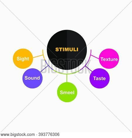 Diagram Of Stimuli With Keywords. Eps 10 - Isolated On White Background