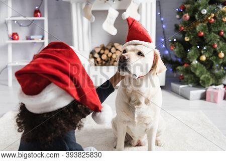 Back Of African American Girl Stroking Labrador Dog In Santa Hat On Blurred Background