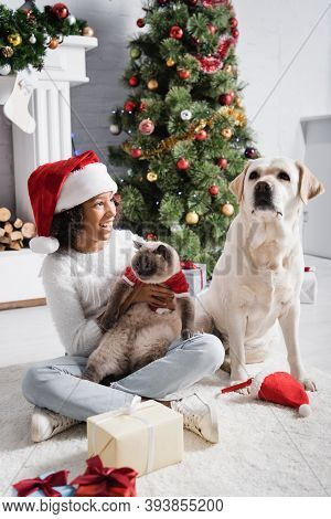 African American Girl Looking At Labrador Dog While Holding Cat Near Christmas Tree
