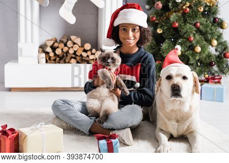 African American Girl, Labrador Dog And Cat Looking At Camera Near Gift Boxes And Christmas Tree On 