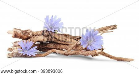 Dry Roots Of Chicory And Three Cichorium Flowers Isolated On White Background.