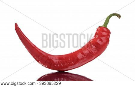 Pod Of Red Curved Chili Pepper With Reflection Isolated On White Background.