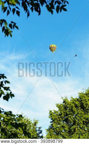 Colorful Hot Air Balloon And Bird In The Blue Sky. Border From Twigs. Bottom View Through A Frame Of