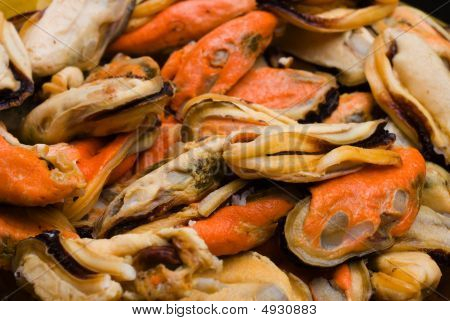 Raw Mussel