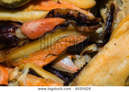 Raw Mussel