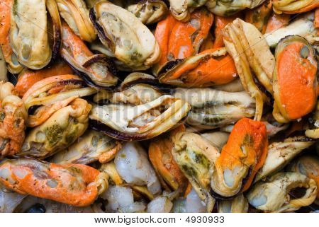 Sea Fruits