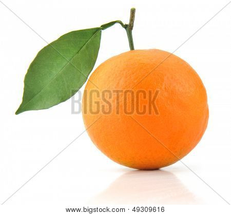 orange seul isolé