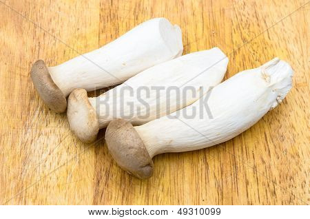 Eringii Mushrooms On The Chopping Block