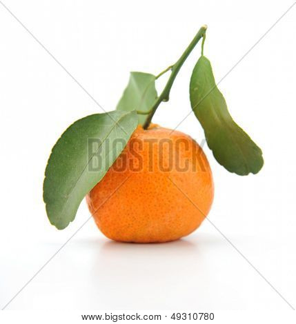 Yksi maukasta appelsiini tai mandariini