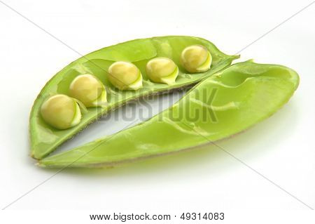 Lablab Bean