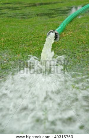 feltet hosepipe sprinkler græs