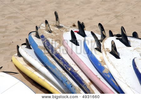 Surfy