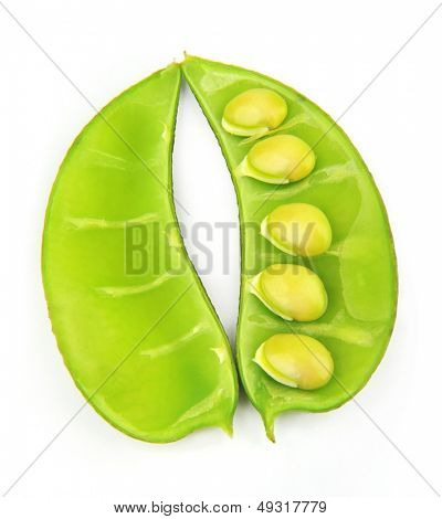 Lablab Bean