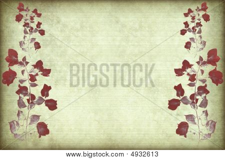 늑 골이 있는 양피지에 붉은 부겐빌레아 분기 인쇄