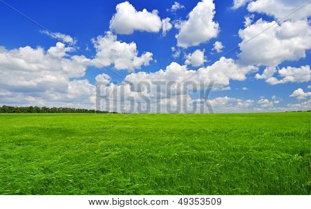 Green Field