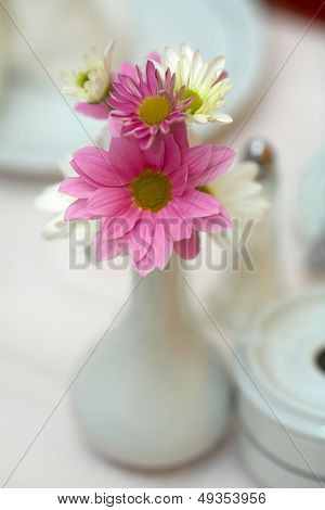 piccolo vaso con margherite in un ristorante