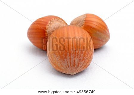 tre nocciole su sfondo bianco