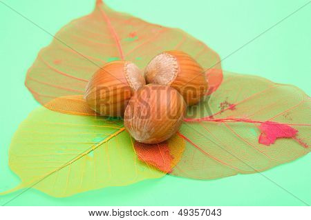 nocciole e foglie trasparenti colorati su sfondo verde