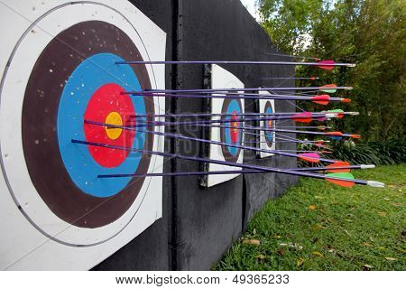 Target Archery And Many Arrow.