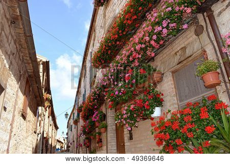 Italian alley in summer