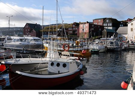 Fishing boats