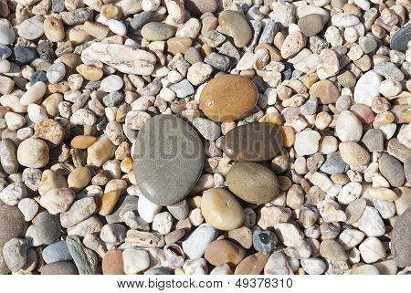 Stone Foot On The Stony Beach