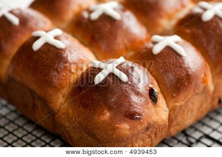 Panini Hotcross di raffreddamento