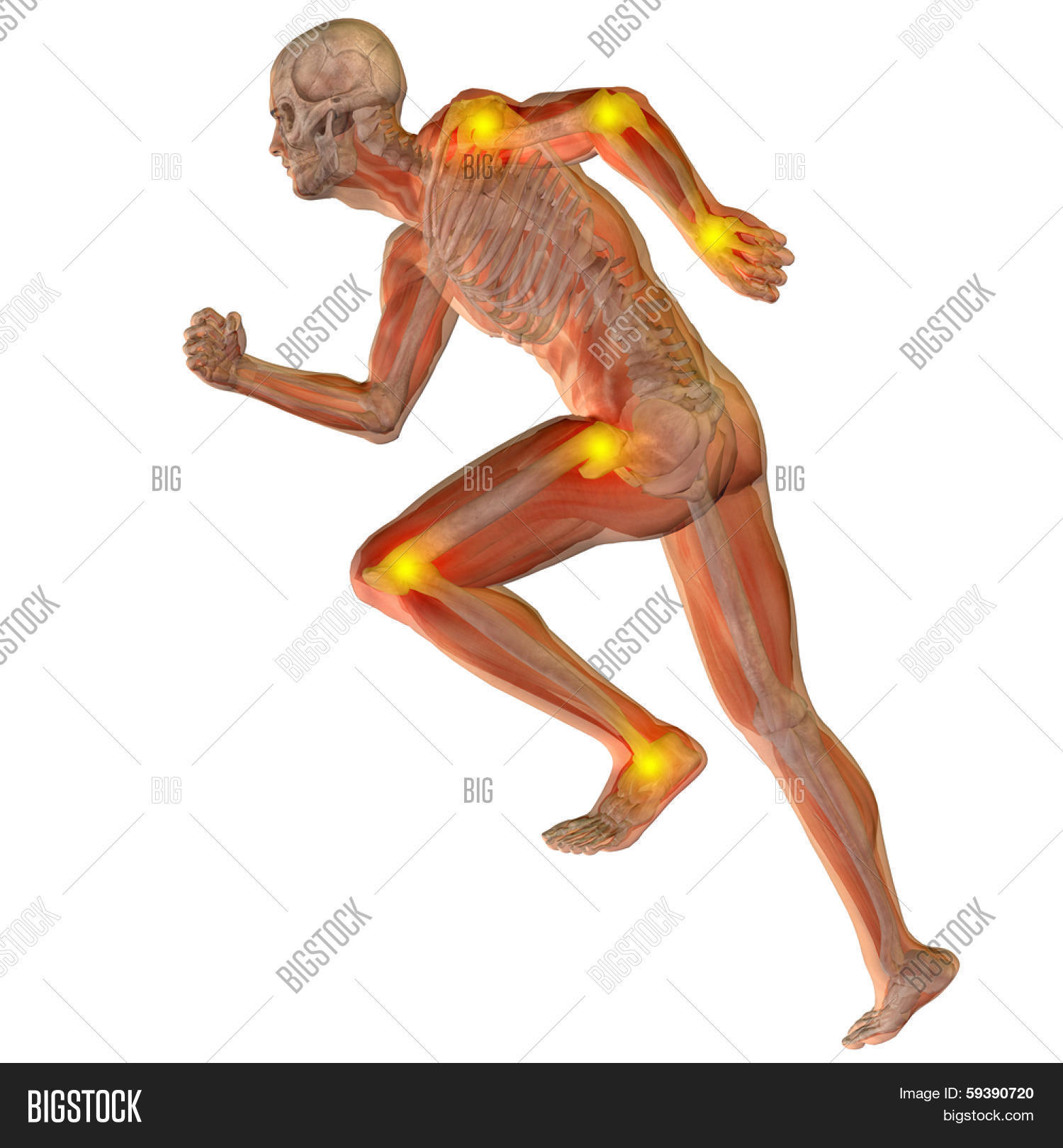 High Resolution Image & Photo (Free Trial) | Bigstock