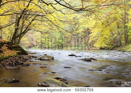 Metuje river in autumn, Czech Republic