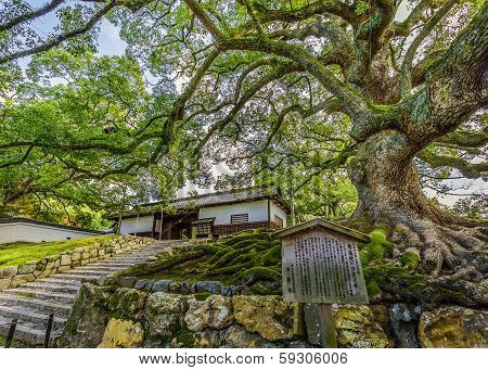 Shorenin Temple in Kyoto